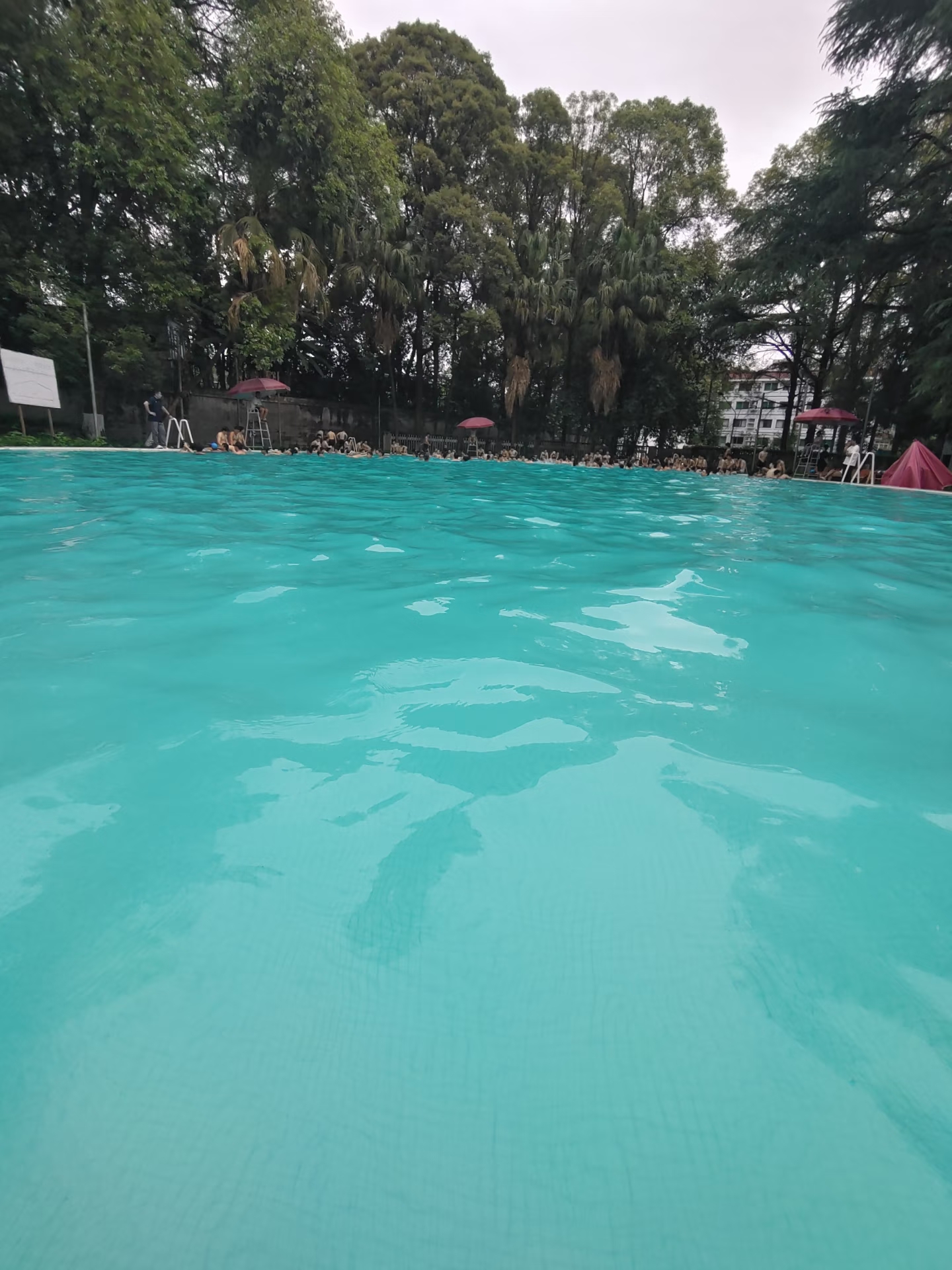 游泳池